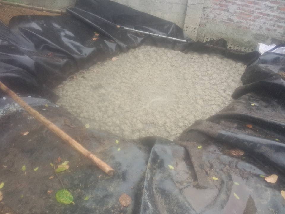 Chuẩn bị thức ăn cho giun quế