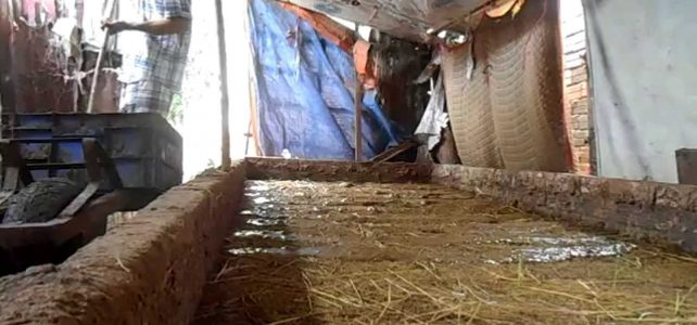 Cách cho giun ăn và chăm sóc giun Cách cho giun ăn và chăm sóc giun