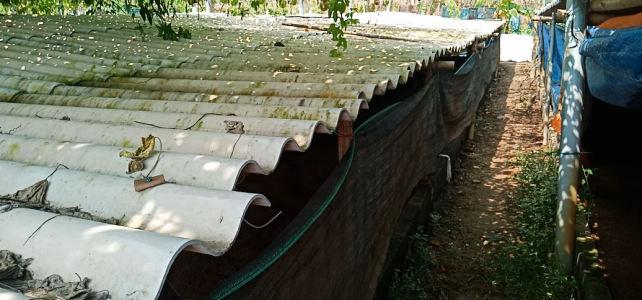 Những Điều Cần Biết Để Nuôi Giun Quế Đạt Năng Suất Cao Những Điều Cần Biết Để Nuôi Giun Quế Đạt Năng Suất Cao